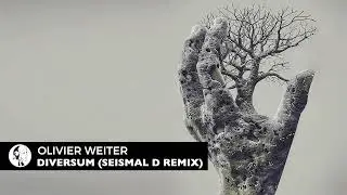 Olivier Weiter - Diversum (Seismal D Remix) | Steyoyoke