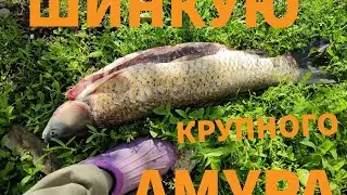 Шинкую крупную рыбу, рыба без костей, амур