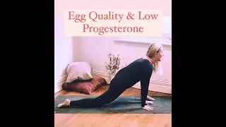 YOGA for FERTILITY Improve Egg Quality & Progesterone with Yoga Yin