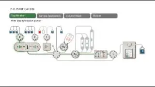 Automated Two-Step 2D Protein Purification with Collection in a Sample Loop for Re-Injection