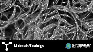 NASAs Metallized Nanotube Polymer Composite (MNPC)