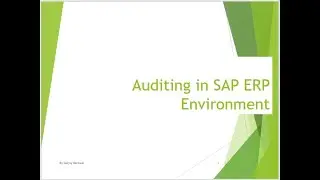 Auditing in SAP Environment