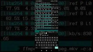 How To Convert MKV To MP4 With FFMPEG