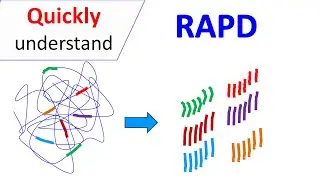 RAPD | Random Amplification of Polymorphic DNA