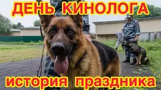 21 июня - День кинолога МВД России. История, особенности и происхождение праздника. Как отмечают