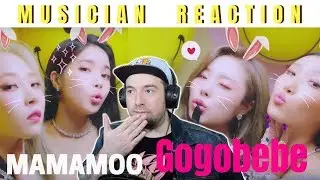 MUSICIAN REACTS | MAMAMOO - "GOGOBEBE" Reaction & Reviews