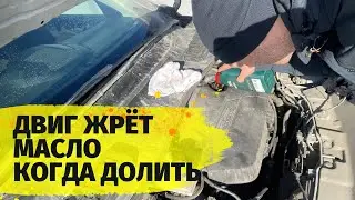 Двигатель жрёт масло на какой отметке доливать до уровня?