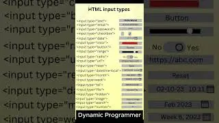 HTML Input Tags Expert with 5 Years Experience Shares Top Tips!