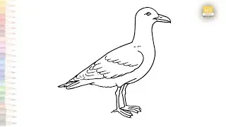 Seagull drawings easy | Bird drawing tutorial | How to draw A Seagull step by step | #artjanag