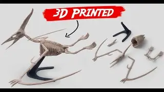 3D Printing a Pterodactyl Skeleton with ZBrush and Ender 3 Pro