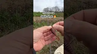 Уловистая снасть Split Shot 💥 #fishing #рыбалка #спиннинг #fishingvideo #spinning #рибалка #судак