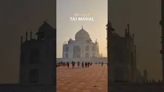 Morning at Taj Mahal ✨ #tajmahal #shorts