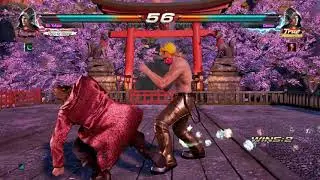 Steve Peekaboo DF2 new optimal combo