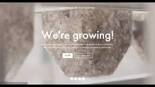 Mushroom® Packaging Intro: 100% Plastic-Free, Biodegradable Packaging You Can Compost