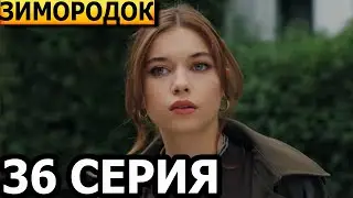 Зимородок 36 серия - русская озвучка, анонс и дата выхода (2023)