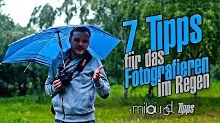 Fotografieren im Regen - Tipps für Fotos im Regen machen | Milou PD Tipps