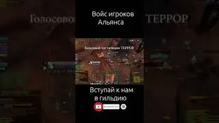 Поймали Альянс на полётке в WoWClassic 