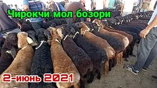 Кашкадарё Чирокчи мол бозори Куй кузилар нархи 2 июнь 2021.Chiroqchi mol bozori