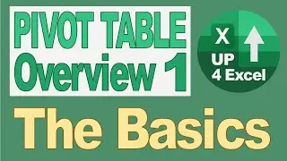 5 Step Pivot Table Overview Part 1: The Basics