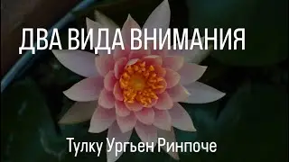 Внимание