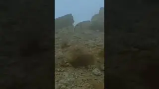 Туман l Fog #shotrs