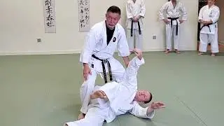 Goju Ryu Kata Application Principles