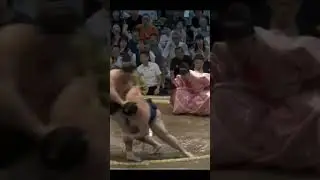 Аби Vs Гонояма Нагоя Басё 2024 Сумо #japan #sumo #sport #ufc #сумо #япония #wwe #борьба
