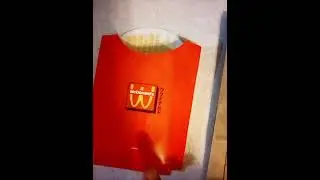 WcDonald's Fries Cup and Manga print on the bag