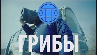 Грибы - Тает Лёд