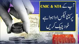 Easily Check Tax Paid on Your CNIC & NTN   Simple Guide