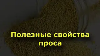 Состав и полезные свойства проса