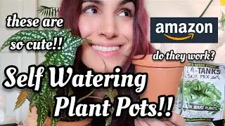 Self Watering Pots!! 💦🪴Do They Work?!? 🤷🏻‍♀️ I ordered some on Amazon, let's repot a Begonia!! 💕