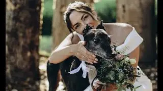 Forest Wedding in Denmark, Dog Friendly! | Anna & Florian