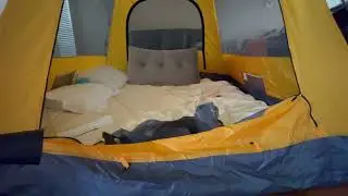 Cat's indoor camping