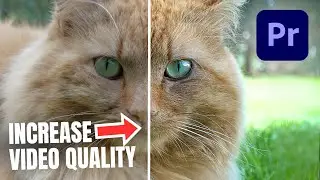 Instantly IMPROVE Video Quality In Premiere Pro