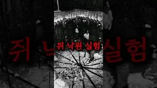 쥐들에게 유토피아를 줬더니 생긴 소름돋는 일