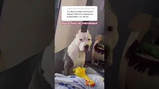 Мой в боях не участвовал! 