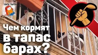 Чем кормят в тапас барах?