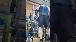 30lb side lat raises for shoulders, solid set