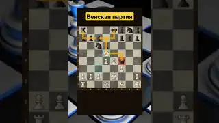 Венская партия. Шахматы #шахматы #chess #chorts #школашахмат #checkmate