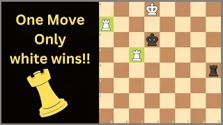 300 Years Old Beautiful Chess Puzzle!