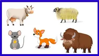 Learn animals name in english | Animals name with picture | Learn animals name #educationalvideo