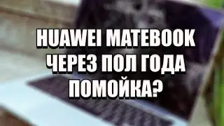 HUAWEI MATEBOOK СПУСТЯ ПОЛ ГОДА | ЧТО С НИМ СТАЛО