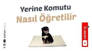 Yerine Komutu Nasıl Öğretilir