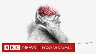 Теория эволюции Дарвина: как он до этого додумался?