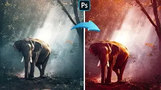 [ Color Effect ] Professional Color Gradient Photo Editing Tutorial in Photoshop