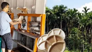 Eco-Friendly Tableware: The Amazing Process of Making Areca Leaf Plates.