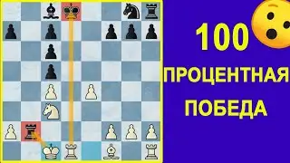 100 ПРОЦЕНТНАЯ ПОБЕДА В ЭТОЙ ЛОВУШКЕ! 