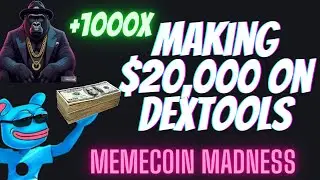 TURNING $20 INTO $30,000 USING DEXTOOLS!