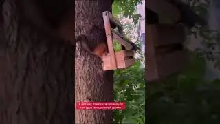 Срочное включение. В Тюмени. обнаружена...